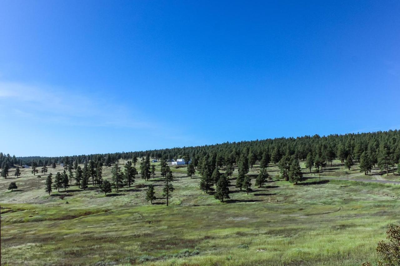Split Pine Cabin Pagosa Springs Esterno foto
